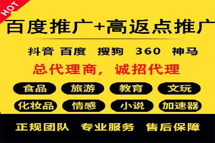 SEM竞价广告的智能优化：成功案例解读